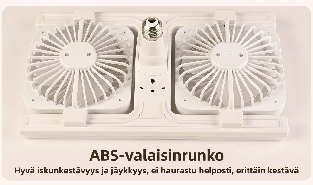 Fan light fixture